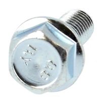 TH à Embase Crantée Acier 8.8 Zingué Blanc Din 6921